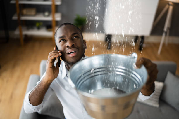 Best 24-hour water damage restoration  in Hays, MT