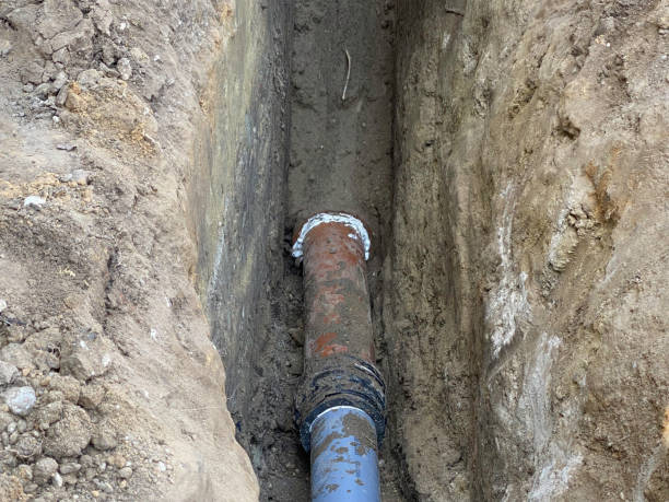 Best Water damage cleanup near me  in Hays, MT