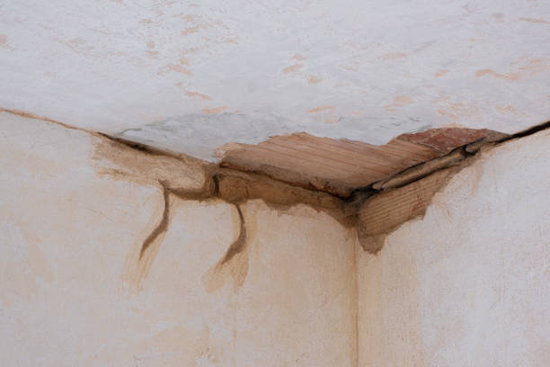 Best Sewage cleanup and water damage restoration  in Hays, MT