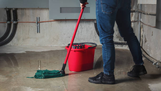 Best Sewage cleanup and water damage restoration  in Hays, MT