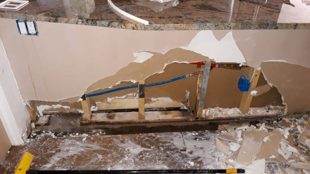 Best Carpet water damage restoration  in Hays, MT