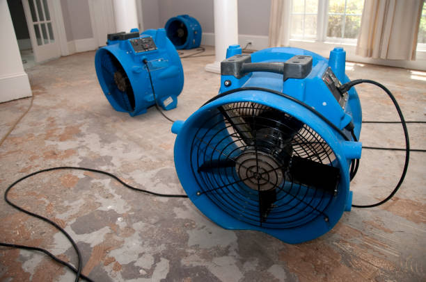 Best Water damage restoration near me  in Hays, MT