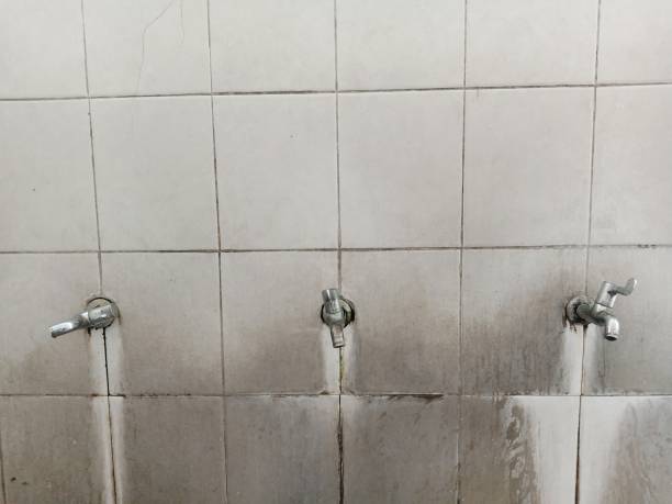 Best Ceiling water damage repair  in Hays, MT