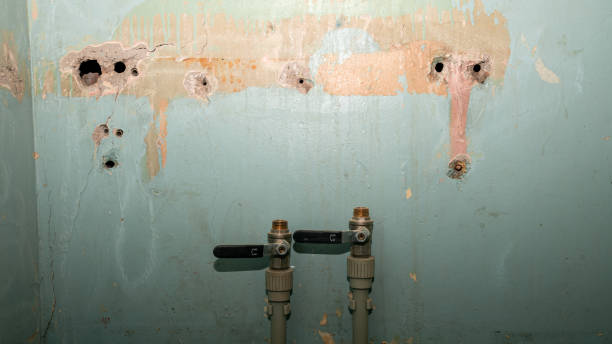 Best Flooded house restoration  in Hays, MT