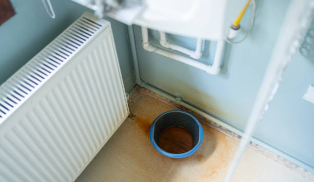  Hays, MT Water damage restoration Pros