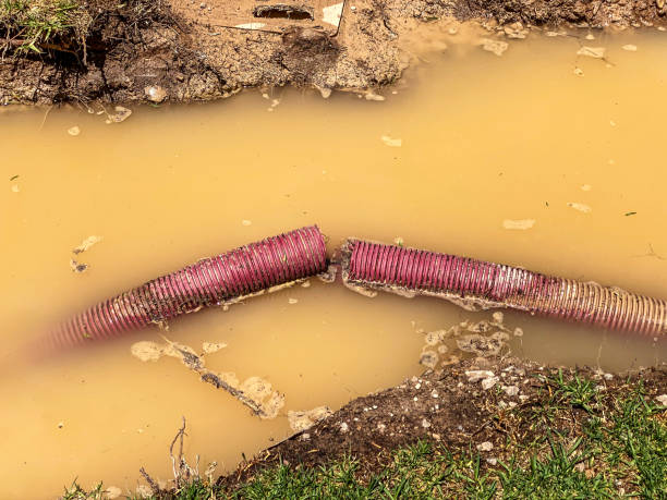 Best Commercial water damage restoration  in Hays, MT
