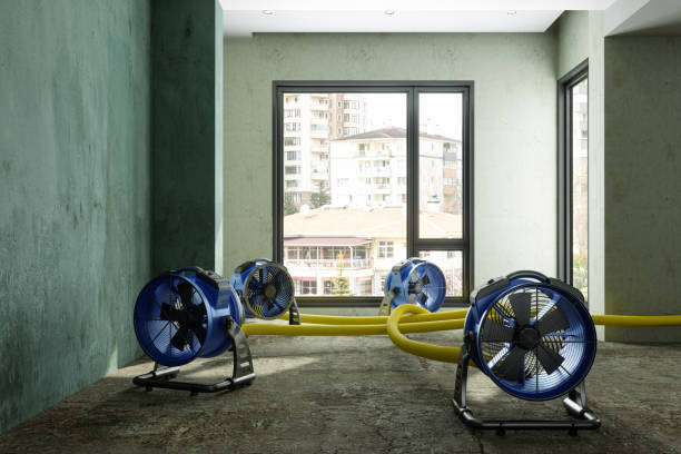 Best Water damage repair service  in Hays, MT
