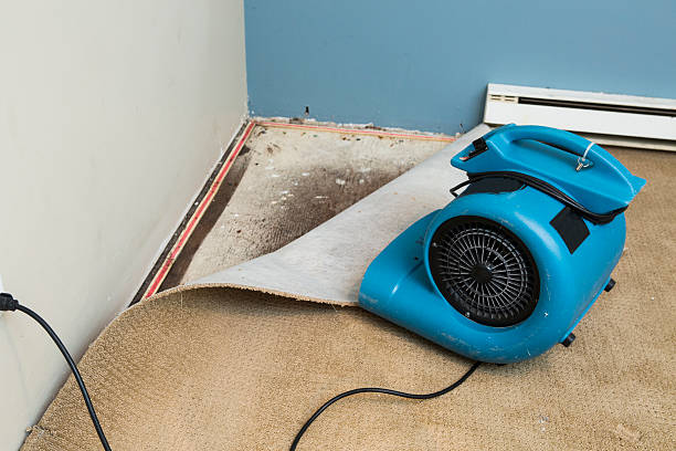 Best Emergency water damage restoration  in Hays, MT
